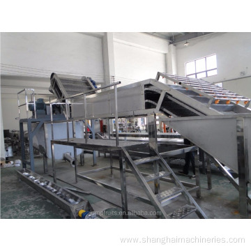 hot sale papaya processing cutting machine